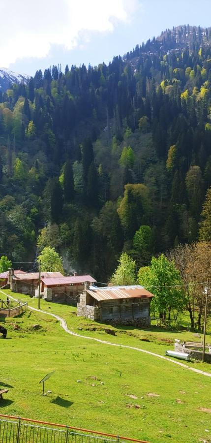 Ayder Vesile Otel ภายนอก รูปภาพ